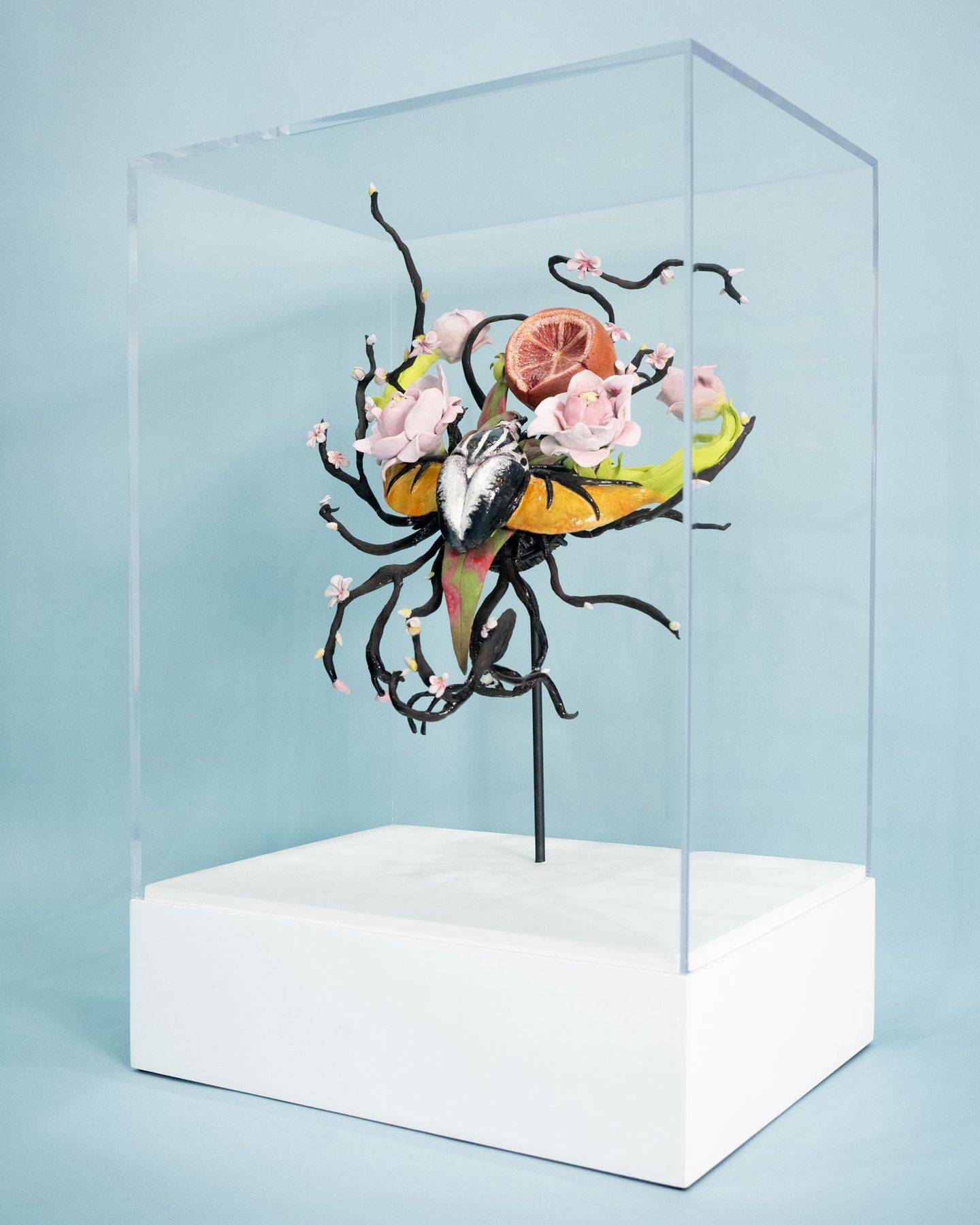 Mixed-media sculpture in a custom acrylic case on a white base, SBAS Houston