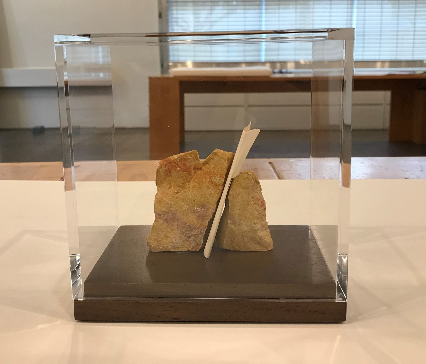 Custom acrylic bonnet case over a stone sculpture in the SBAS showroom