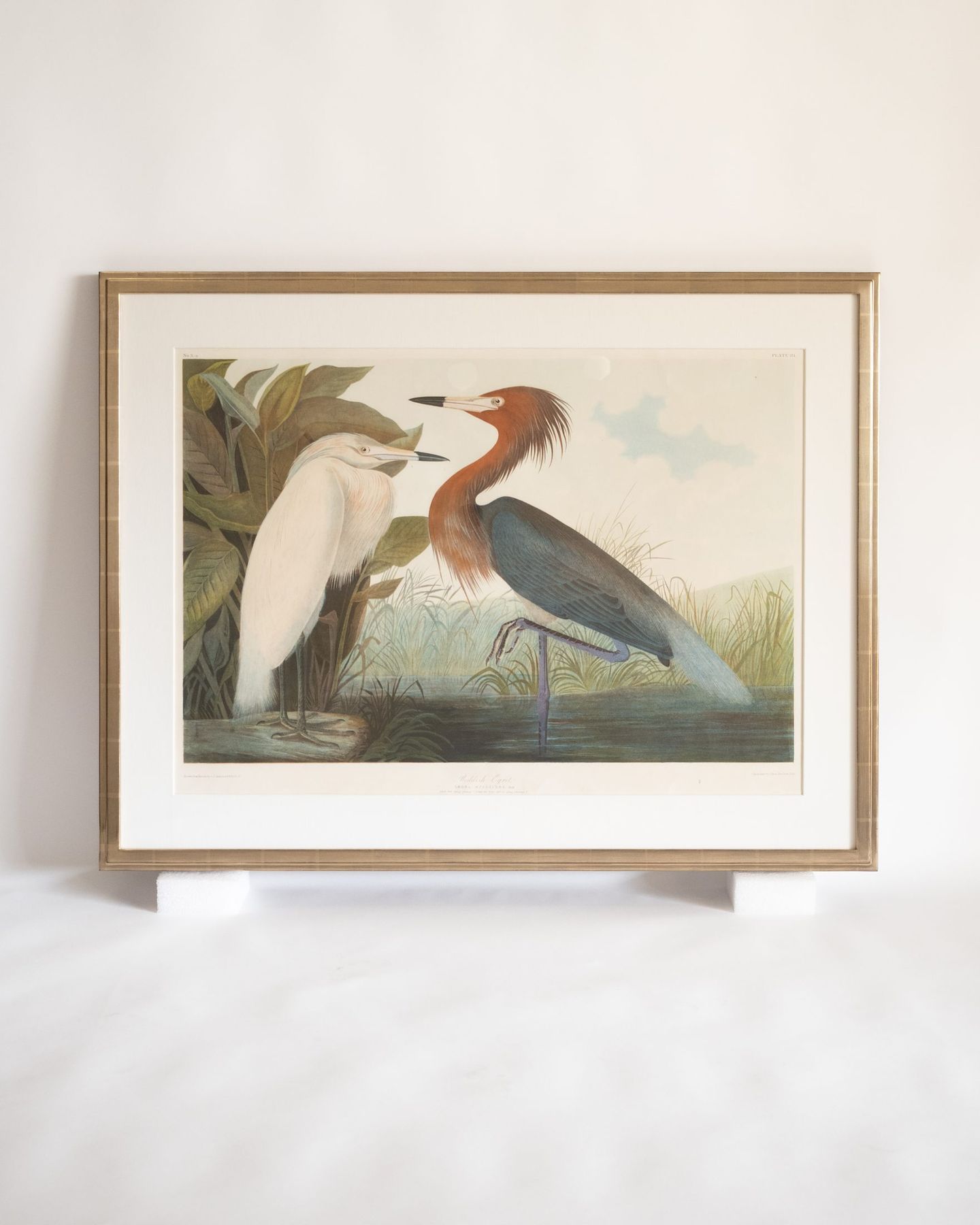 Audubon print in a flat-top step gold leaf frame, SBAS Houston