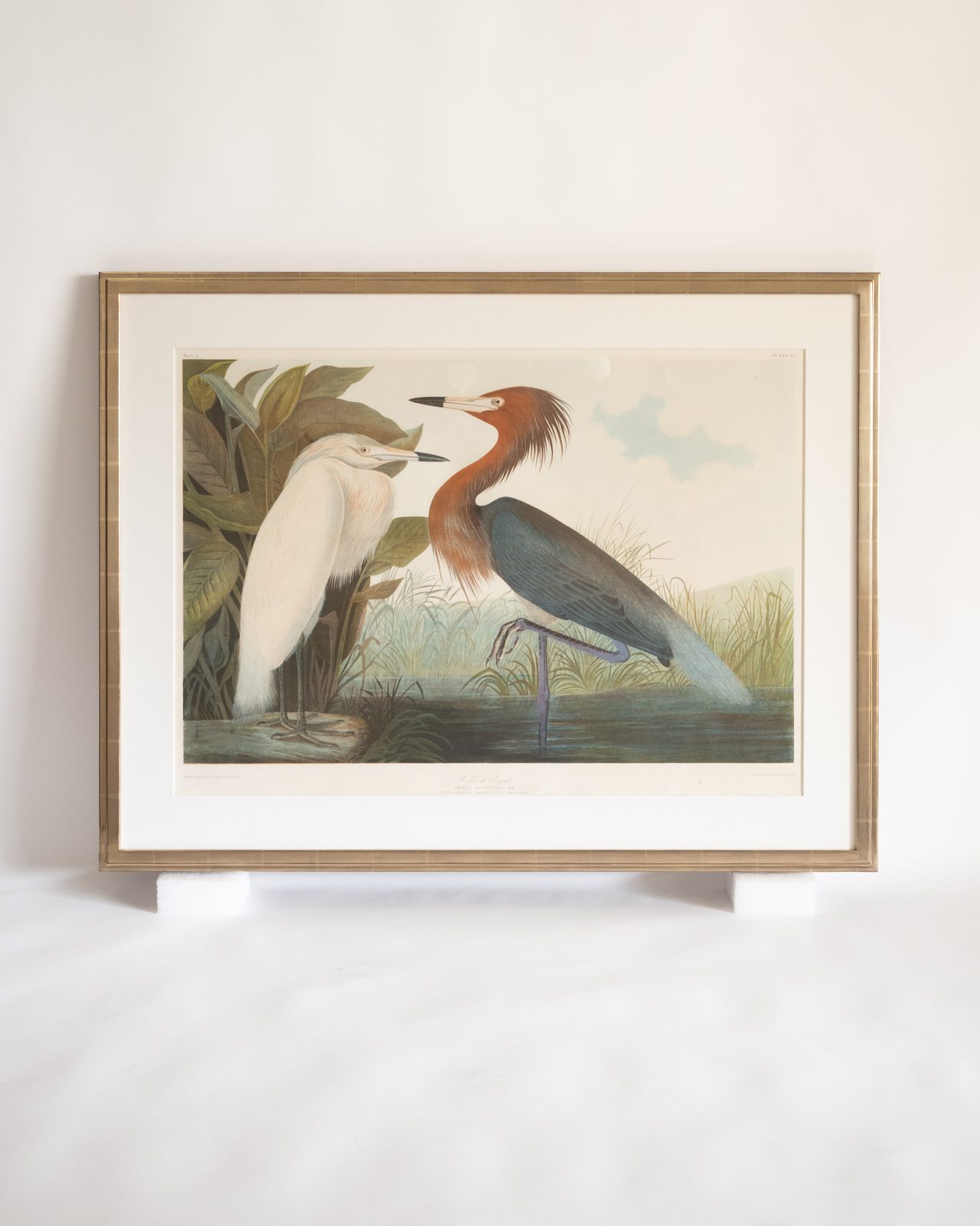 Moon gold step frame on a hand-colored lithograph, SBAS Houston